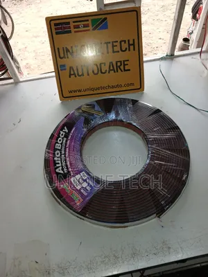 Auto Body Moulding Protector (Per Meter) Car Body Side Moulding