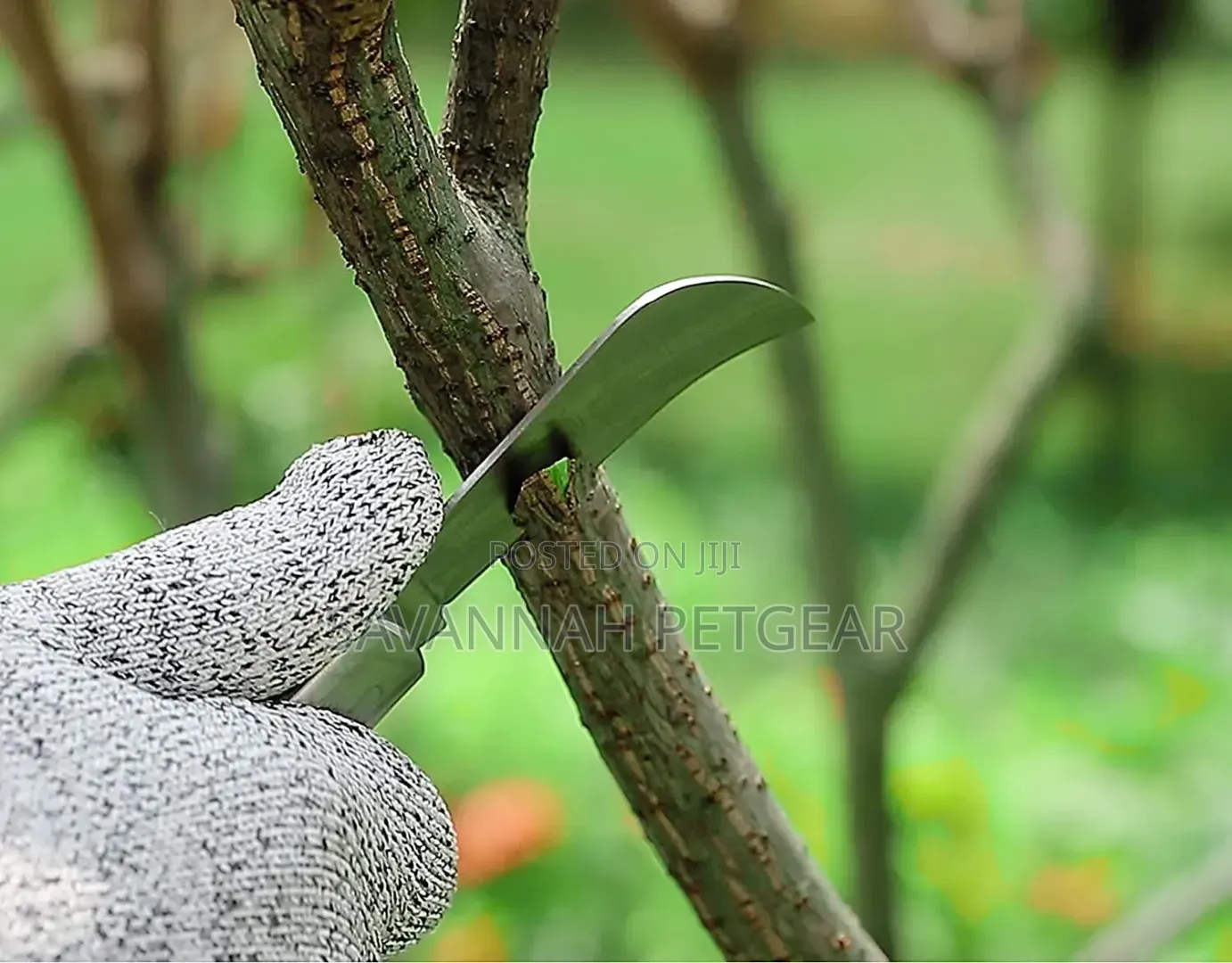 Double Blade Foldable Gardening Grafting Knife With Wooden Handle