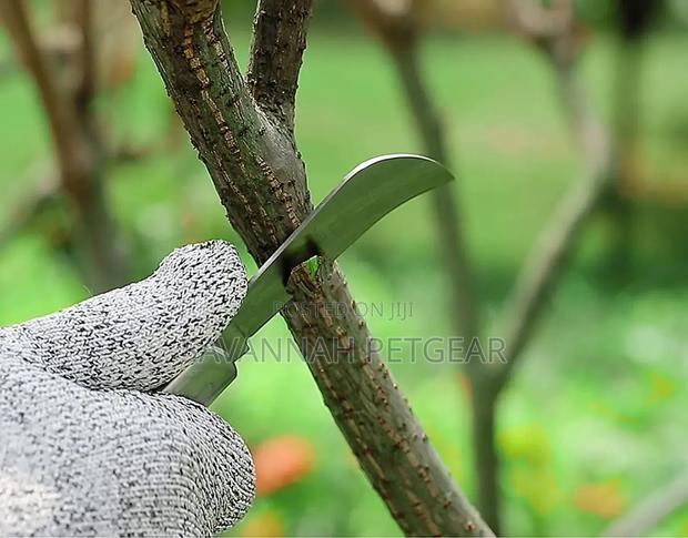 Double Blade Foldable Gardening Grafting Knife With Wooden Handle - thumbnail 3