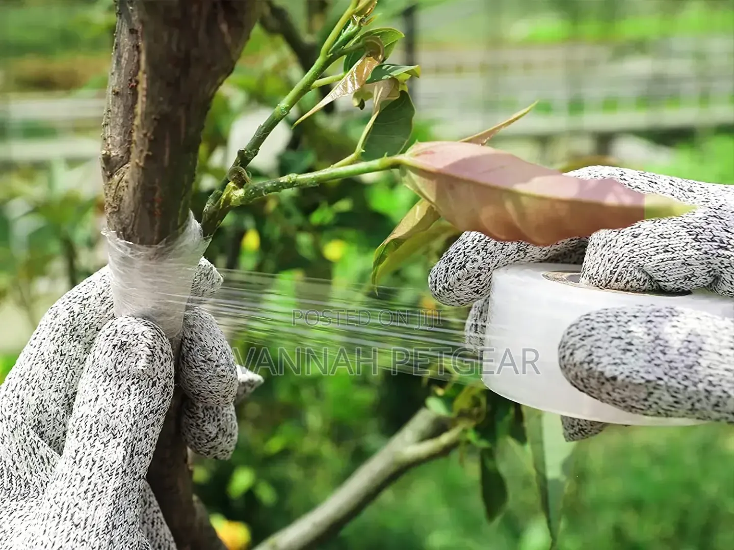 Double Blade Foldable Gardening Grafting Knife With Wooden Handle