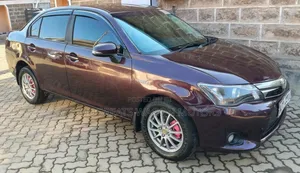 Toyota Axio 2015 Maroon