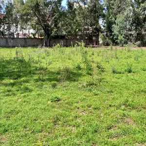 Karen Windy Ridge: 0.5-Acre Red Soil Plot With Excellent Drainage
