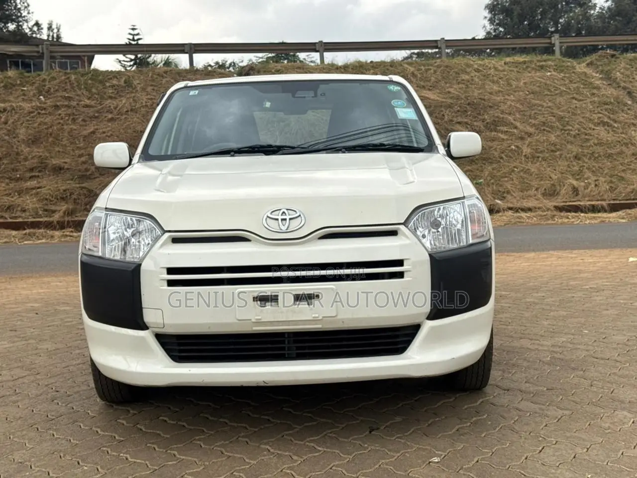 Toyota Probox 2019