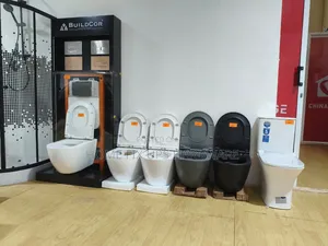 Buildcor Wallhung Toilet Seat With Concealed Cistern