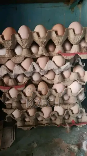 Hens and Eggs