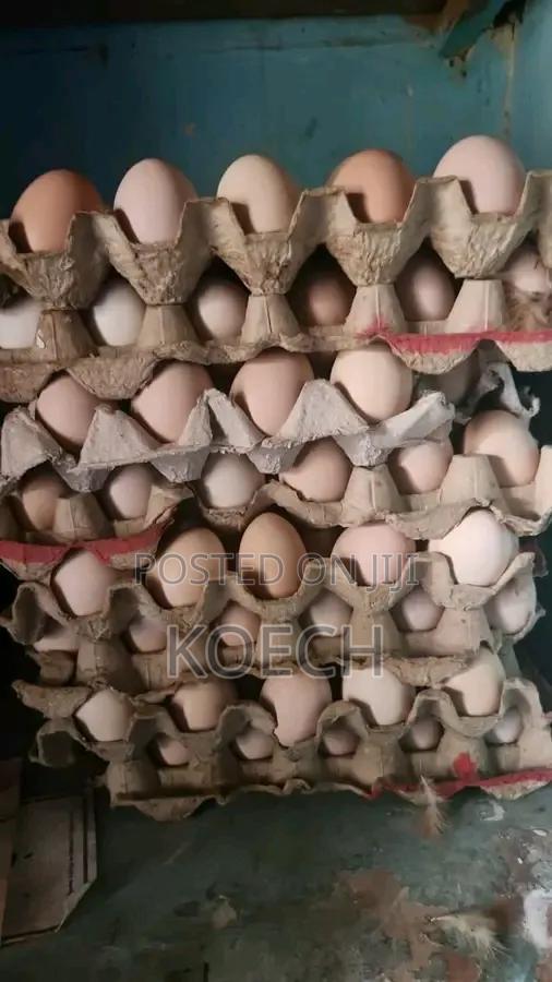 Hens and Eggs