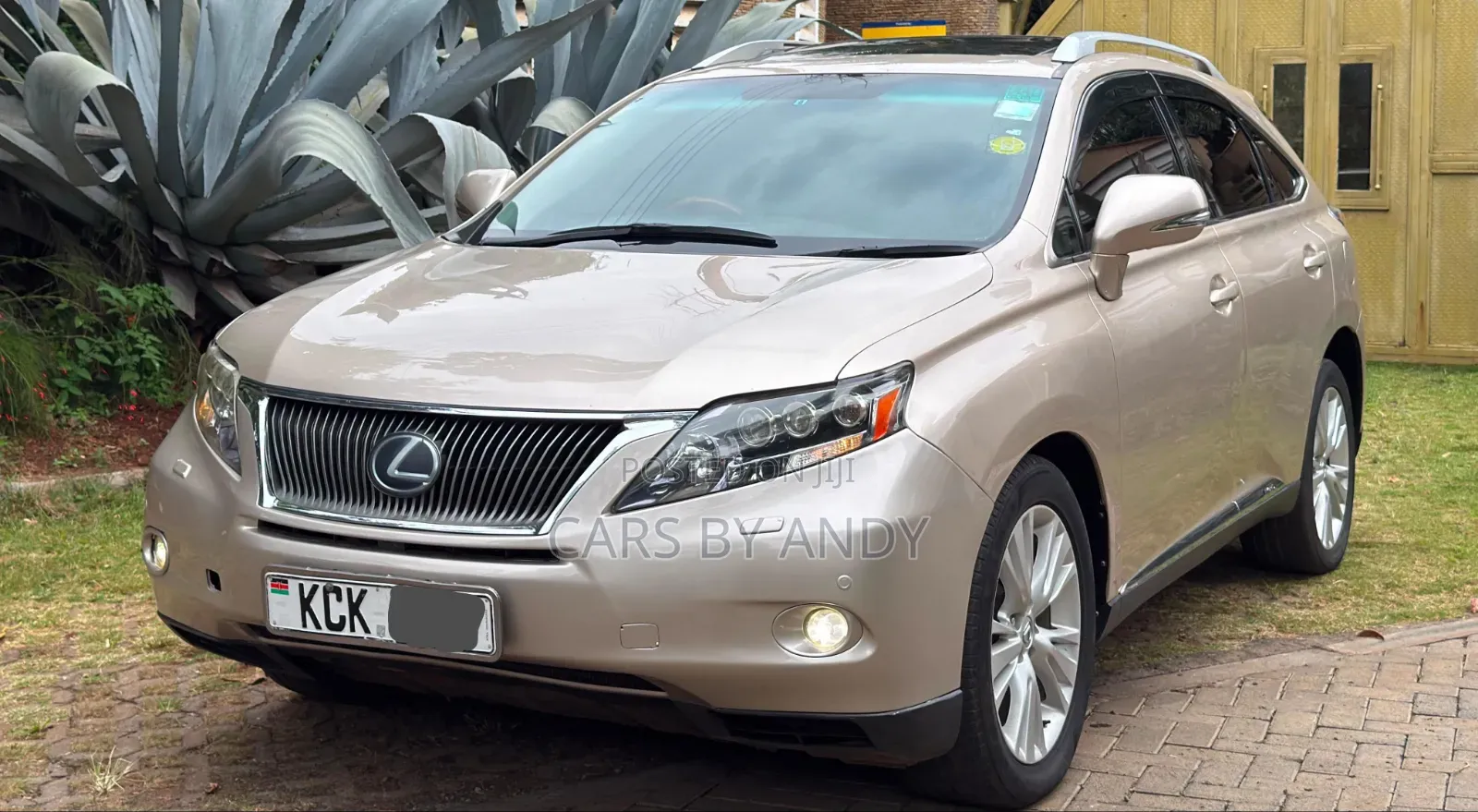 Lexus RX 2010 Brown