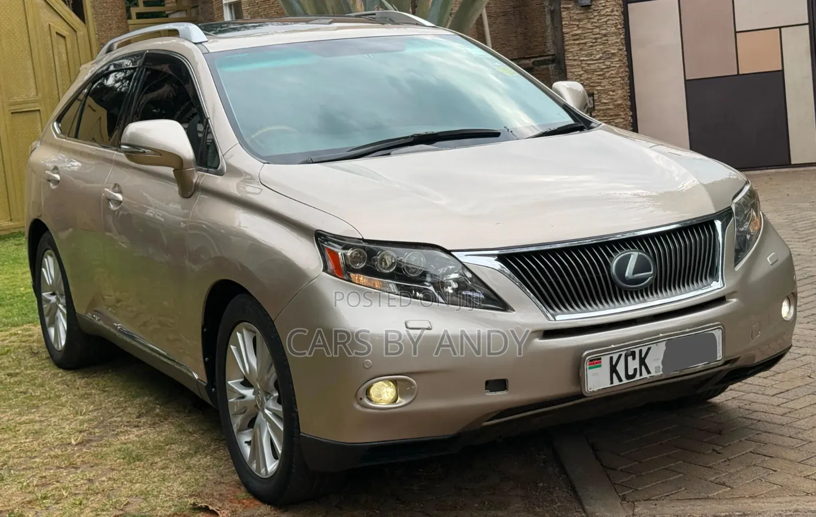 Lexus RX 2010 Brown