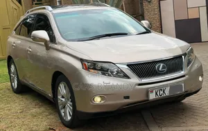 Lexus RX 2010 Brown