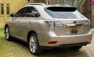 Lexus RX 2010 Brown
