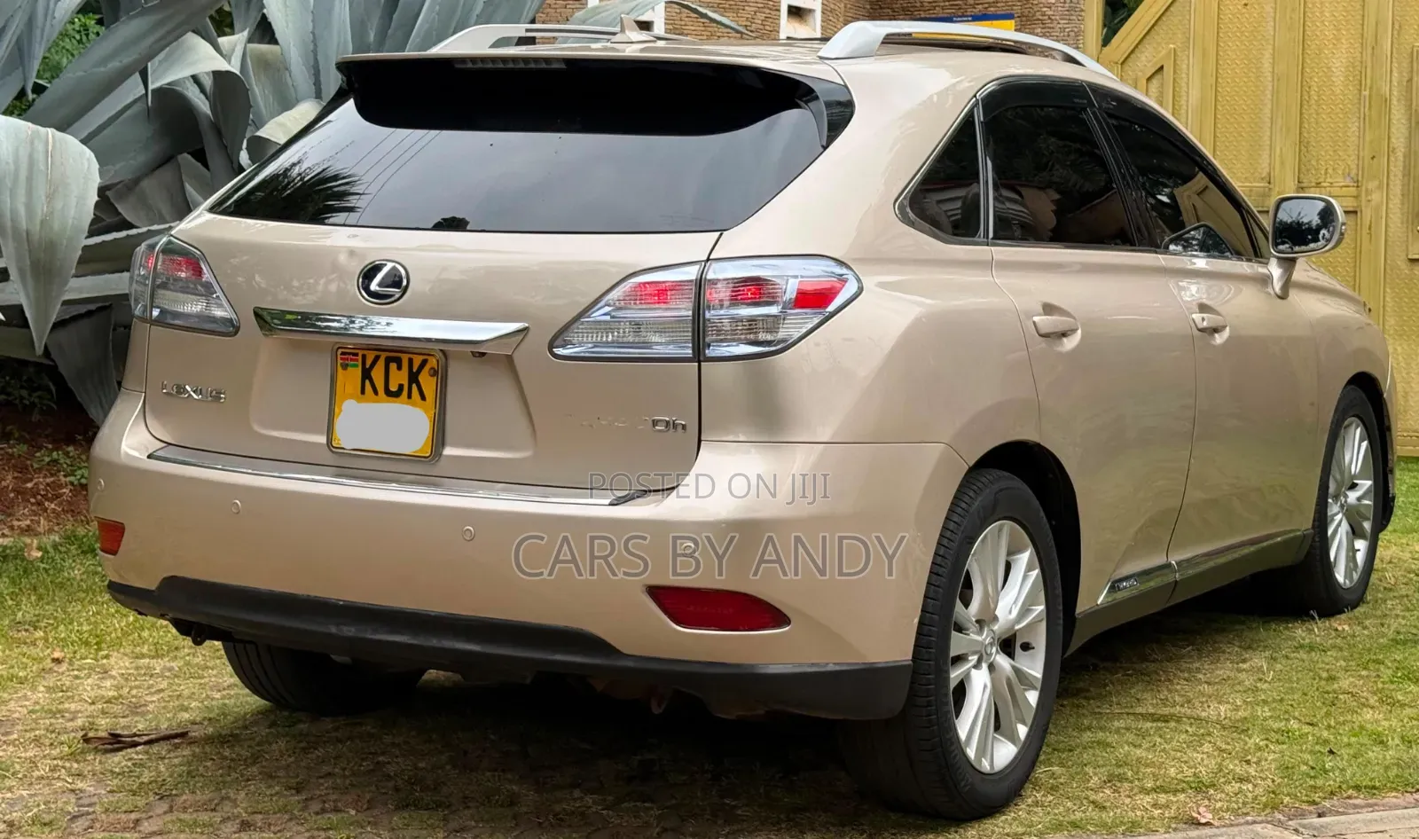 Lexus RX 2010 Brown