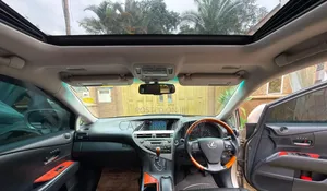 Lexus RX 2010 Brown
