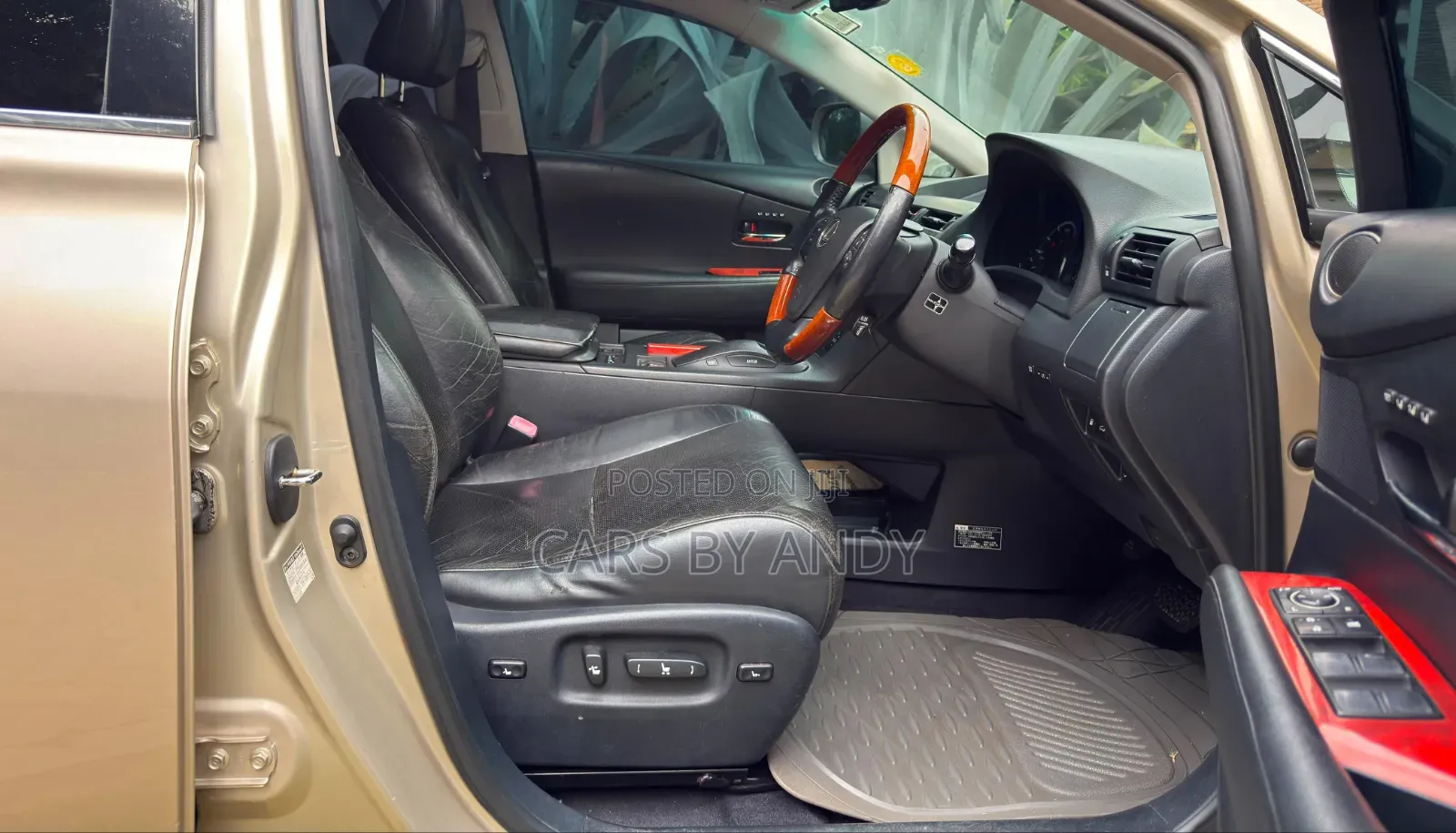 Lexus RX 2010 Brown