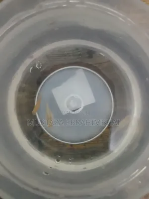 Fish Aquarium