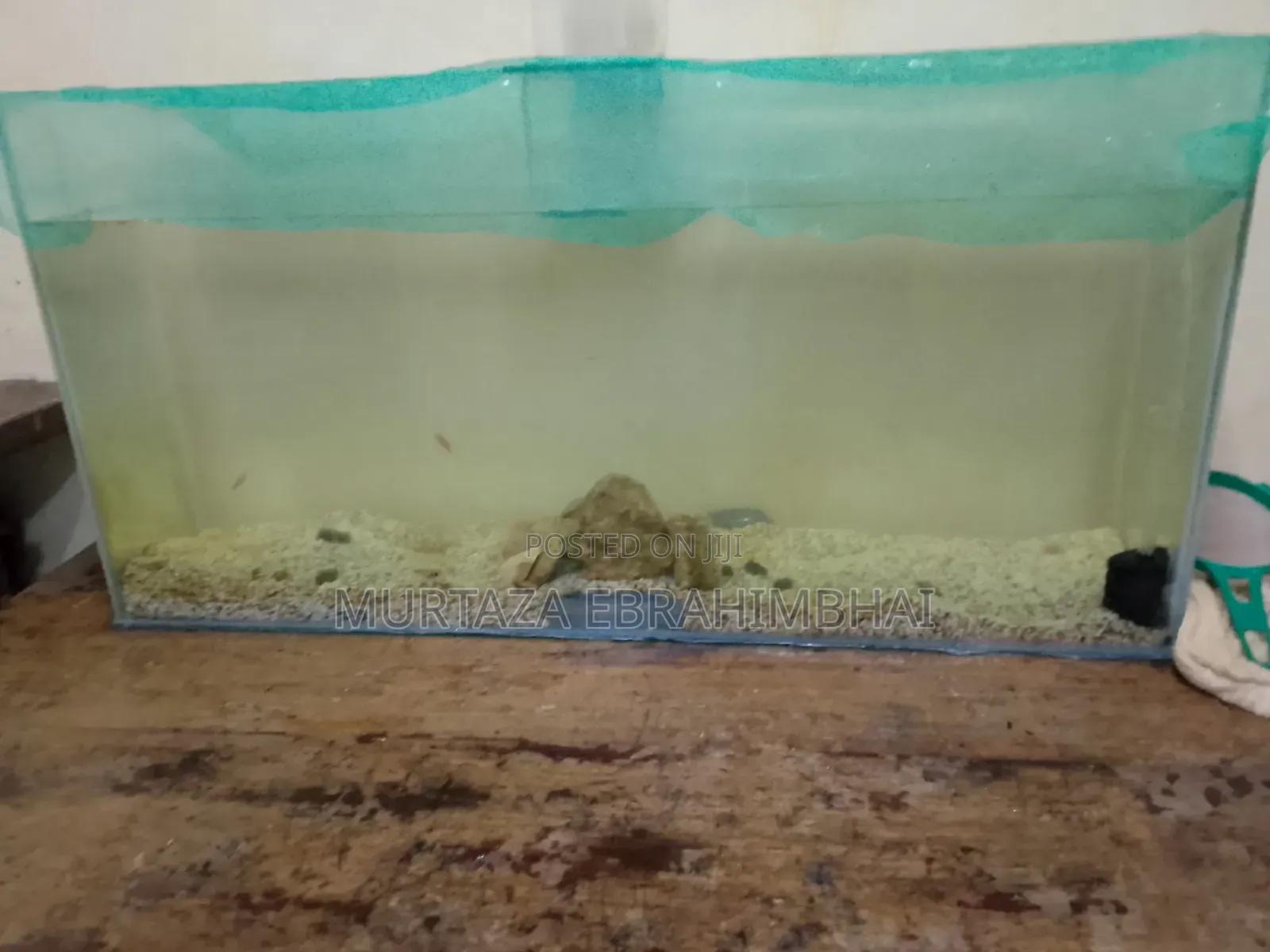 Fish Aquarium