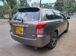Toyota Corolla Fielder 2010 Brown