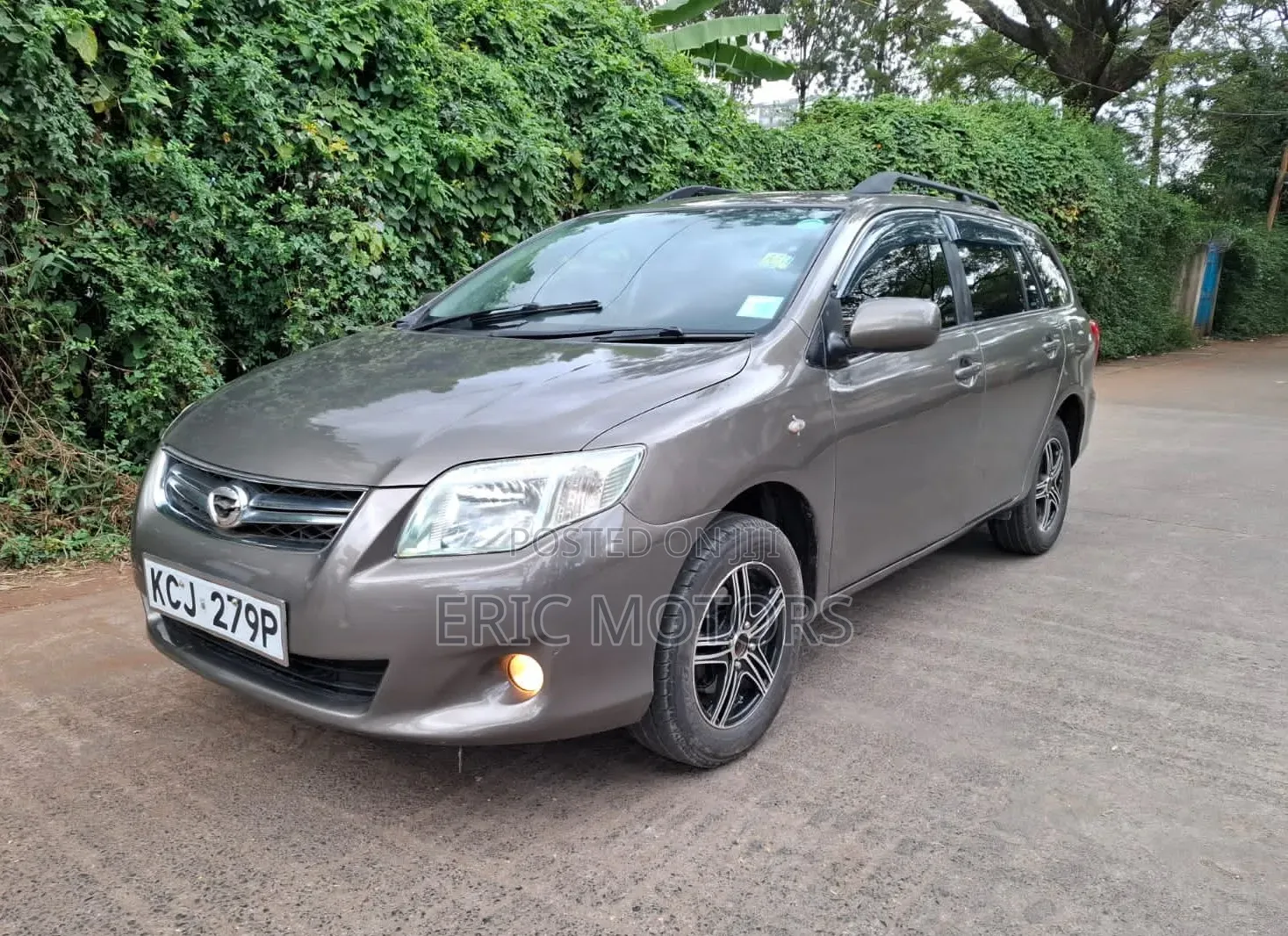 Toyota Corolla Fielder 2010 Brown