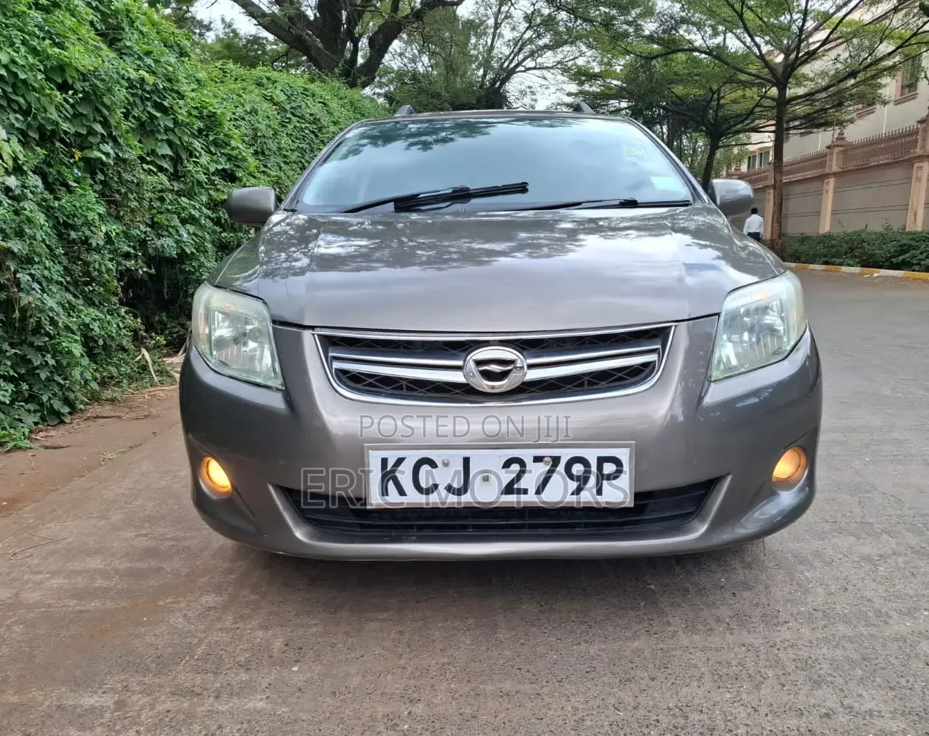 Toyota Corolla Fielder 2010 Brown