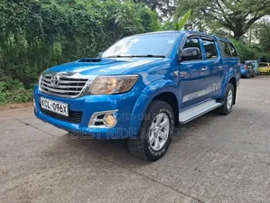 Toyota Hilux 2010 Blue