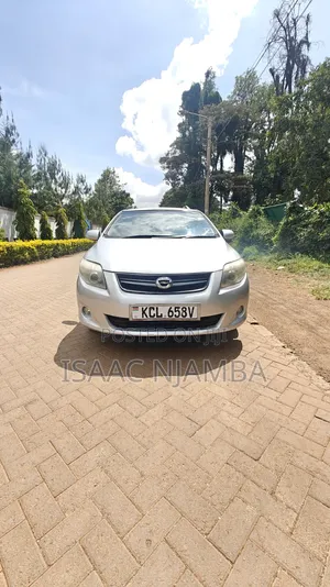 Toyota Corolla Fielder 2011 Silver