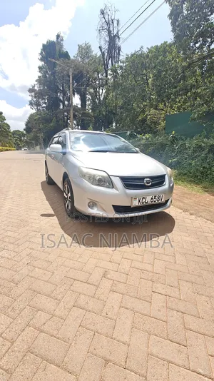 Toyota Corolla Fielder 2011 Silver