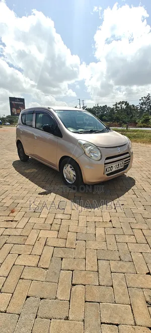 Suzuki Alto 2014 Pink