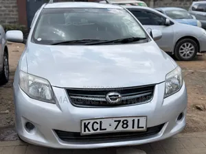 Toyota Corolla Fielder 2010 Silver