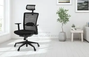 Ergonomic Heigt Adjustable Chair With Headrest