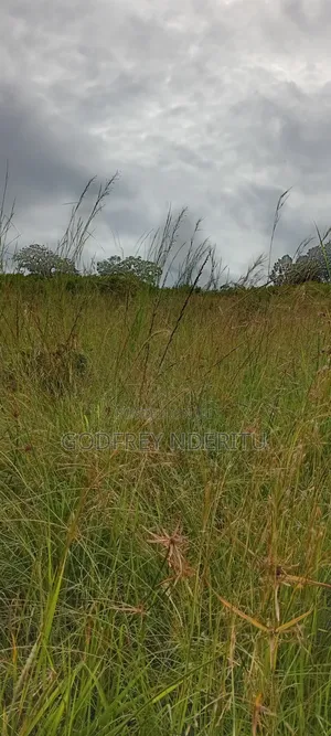 22.5 Acres in Thika