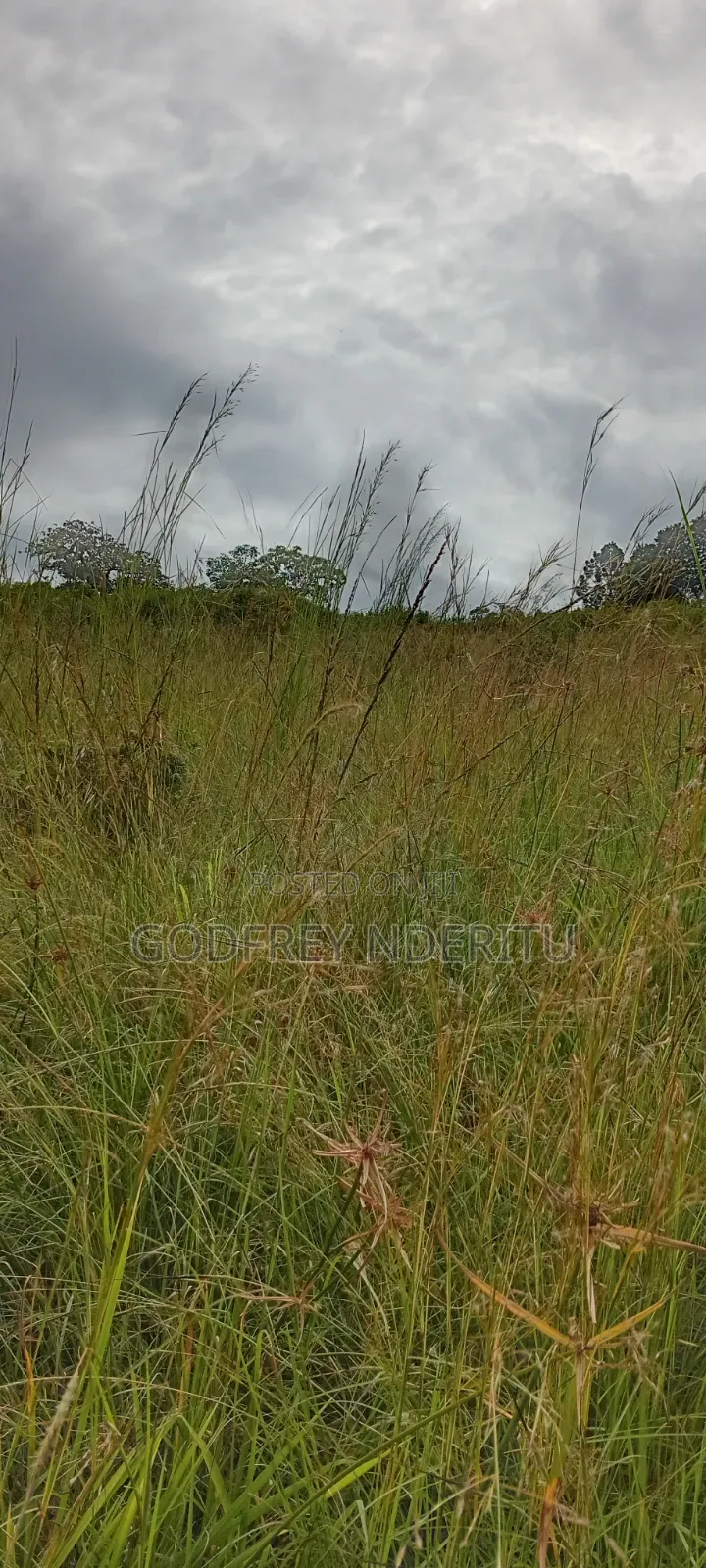 22.5 Acres in Thika