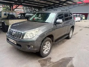 Toyota Land Cruiser Prado 2010 Gray