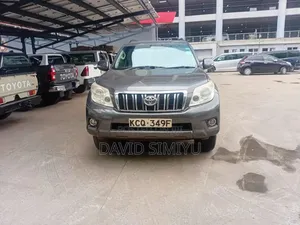 Toyota Land Cruiser Prado 2010 Gray