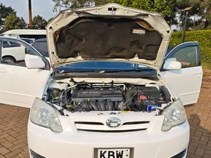 Toyota Corolla RunX 2006 White
