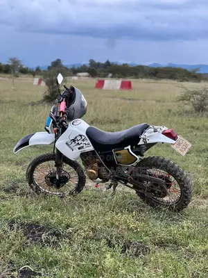 Honda 2010 White