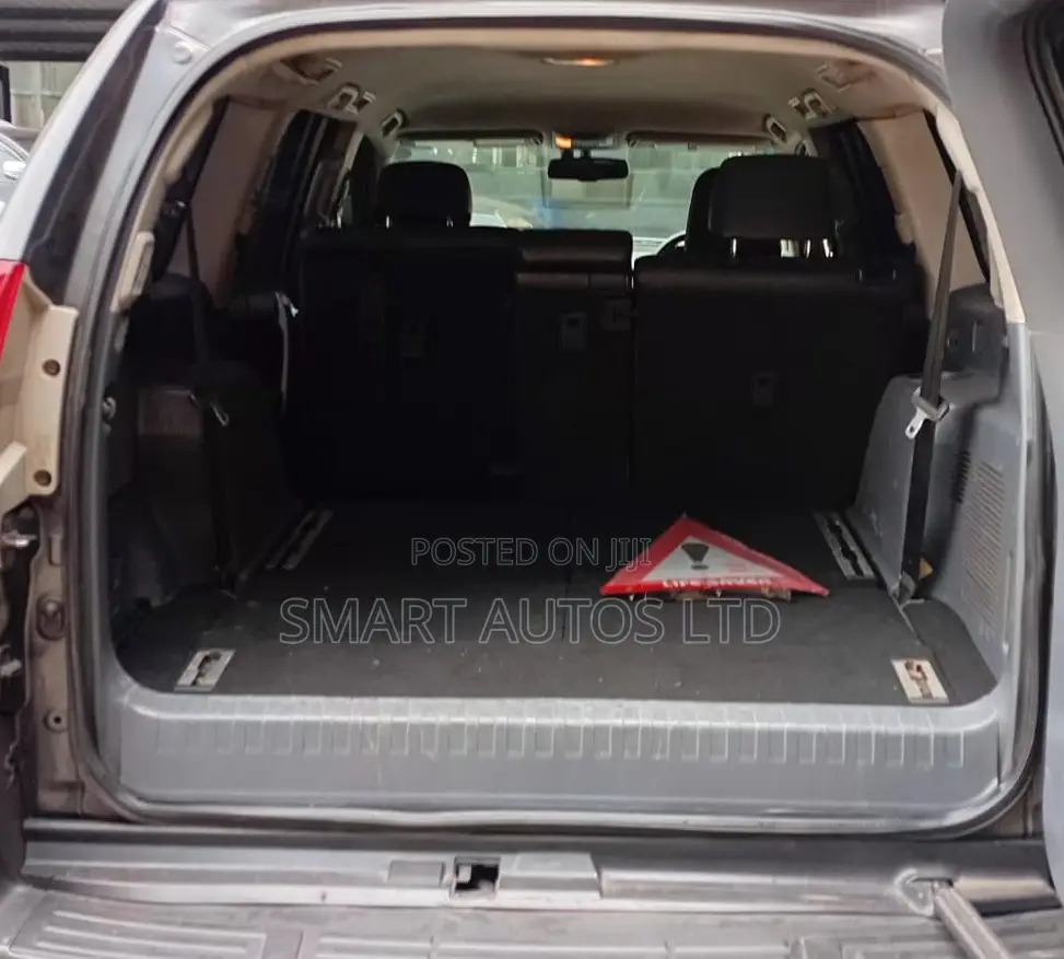 Toyota Land Cruiser 2010 Brown