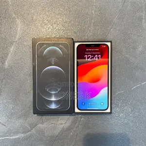 Apple iPhone 12 Pro Max 256 GB