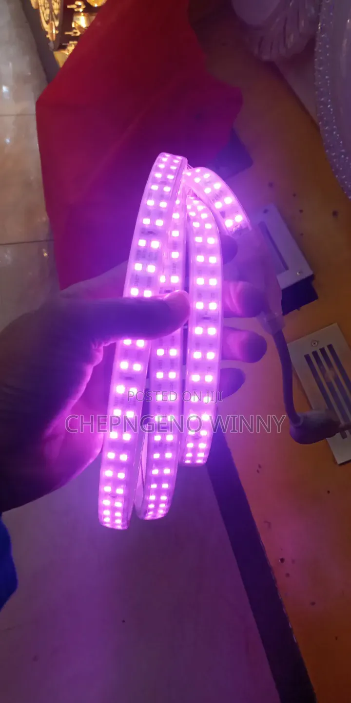 Pink Stripe Light