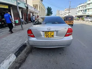 Toyota Axio 2009 Silver