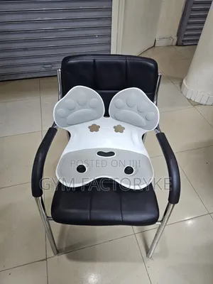 Car Seat Back Support
