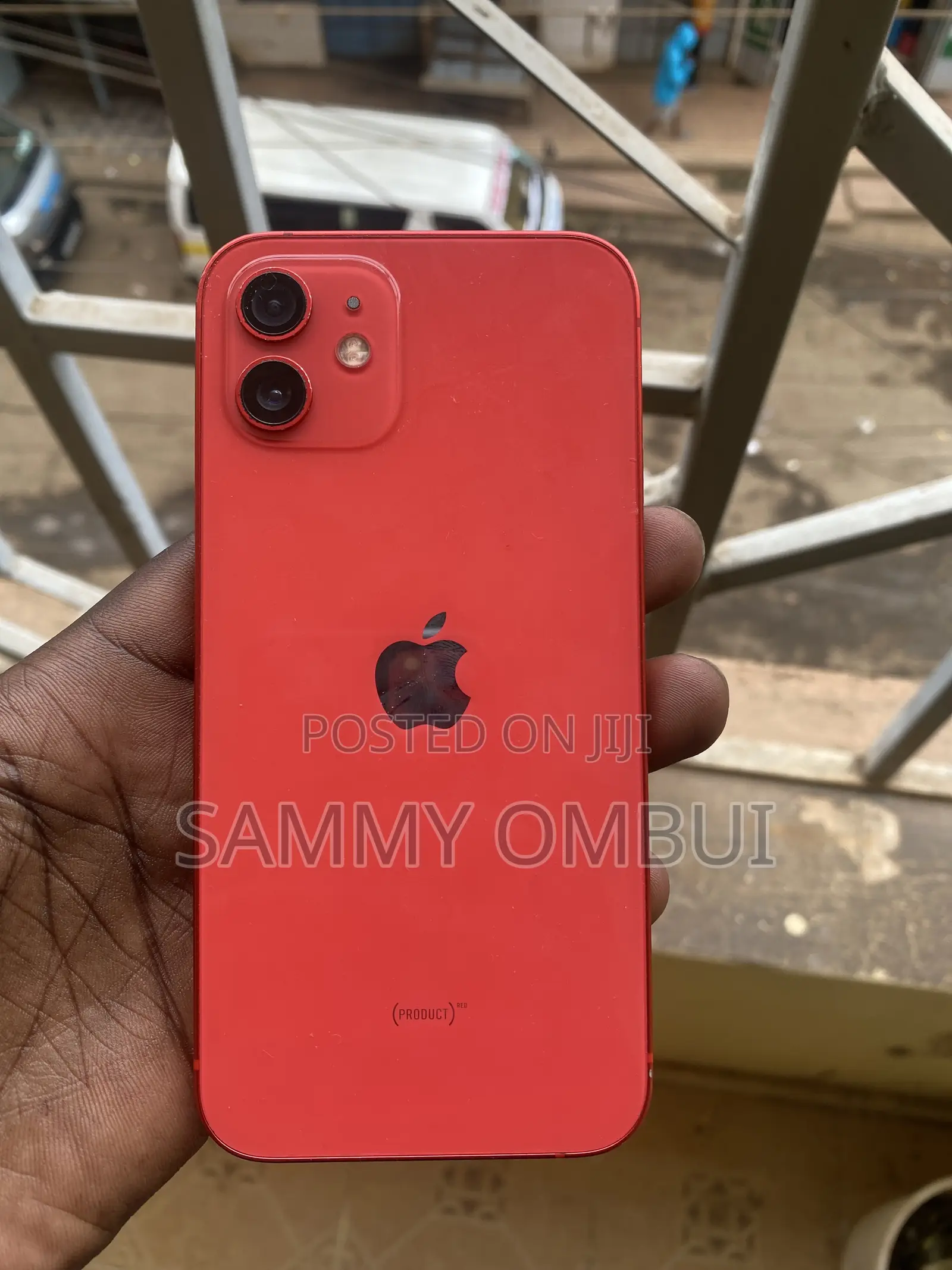 iPhone 12 Mini Back Screen