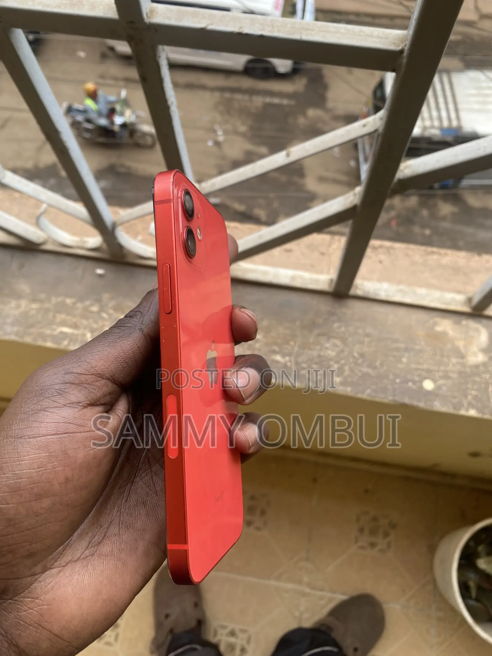 iPhone 12 Mini Back Screen