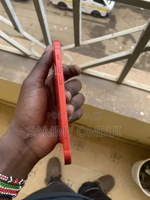 iPhone 12 Mini Back Screen