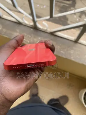 iPhone 12 Mini Back Screen