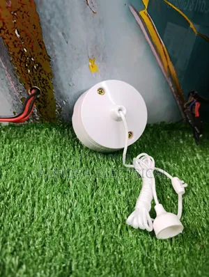 Pull Switch