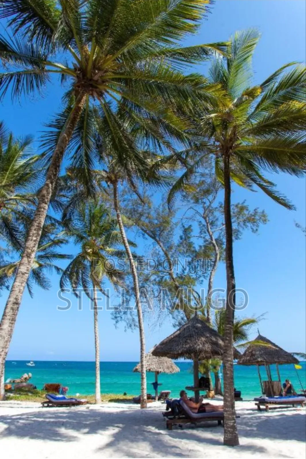Turtle Bay Beach Club Resort