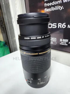 Canon Ef 75-300mm Zoom Lens