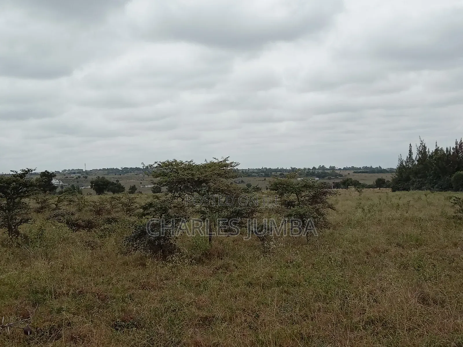 1/8 Plot in Oloika, Acacia