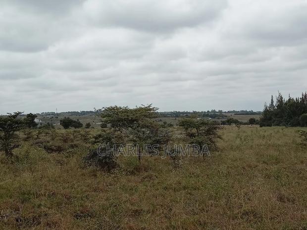 1/8 Plot in Oloika, Acacia