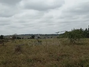 1/8 Plot in Oloika, Acacia