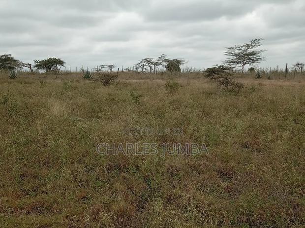 1/8 Plot in Oloika, Acacia - thumbnail 4